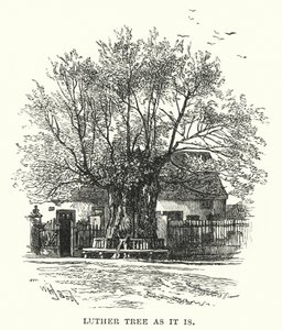 Luther Tree som det är av William Henry James after Boot